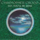 7inch Vinyl Single - Christopher Cross - Say You'll Be Mine