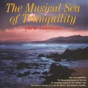 CD - Chris Valentino - The Musical Sea Of Tranquility