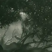 Chris Abrahams - Play Scar