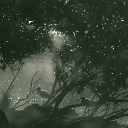 Chris Abrahams - Play Scar