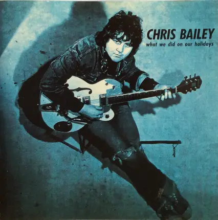 Chris Bailey - What We Did on Our Holidays