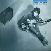 Chris Bailey - What We Did on Our Holidays
