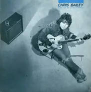 Chris Bailey - What We Did on Our Holidays