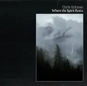 Chris Eckman - Where The Spirit Rests