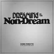 Chris Forsyth & the Solar Motel Band - Dreaming In The Non-Dream
