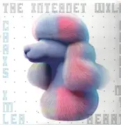 LP - Chris Imler - The Internet Will Break My Heart