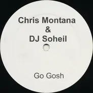 Chris Montana & DJ Soheil - GO GOSH