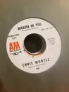 7inch Vinyl Single - Chris Montez - Because Of You / Elena
