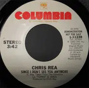 Chris Rea - Since I Don't See You Anymore