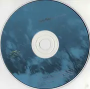 CD - Chris Rice - Past The Edges