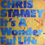 Chris Stamey - It's a Wonderful Life