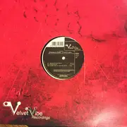 12inch Vinyl Single - Chrome & Price - Truth & Lights