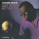 12inch Vinyl Single - Chubb Rock - Lost In The Storm