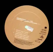 12inch Vinyl Single - Chuck Fender & D-Flame - Germaican Link Up! - RARE