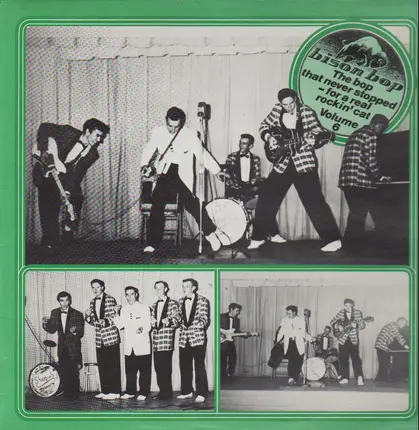 Chuck Brooks, Jimmy Ford, Curtis Lee - Bison Bop Vol. 6
