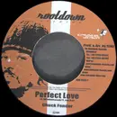 7inch Vinyl Single - Chuck Fender / Elijah Prophet - Perfect Love / Got To Be Conscious