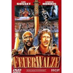 Chuck Norris - Feuerwalze
