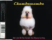 CD Single - Chumbawamba - She's Got All The Friends That Money Can Buy