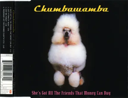 Chumbawamba - She's Got All The Friends That Money Can Buy