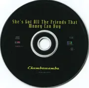CD Single - Chumbawamba - She's Got All The Friends That Money Can Buy