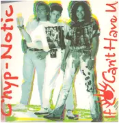 12inch Vinyl Single - Chyp-Notic - If I Can't Have You