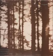 LP - Cindytalk - The Wind Is Strong...