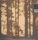 LP - Cindytalk - The Wind Is Strong...