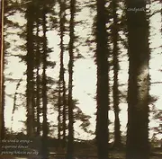 CD - Cindytalk - The Wind Is Strong...