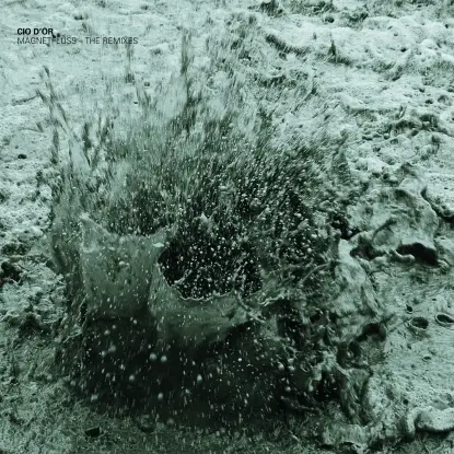 Cio D'or - Magnetfluss Remixe Ep