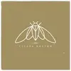 LP - Cicada Rhythm - Cicada Rhythm - W/DOWNLOAD