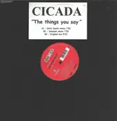 Cicada - THINGS YOU SAY -RMX-