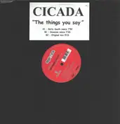 Cicada