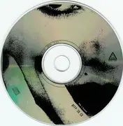 CD - Ciccone Youth - The Whitey Album