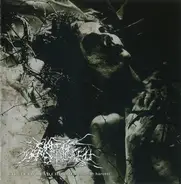 Circle Of Dead Children - Human Harvest