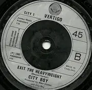 7inch Vinyl Single - City Boy - Lovers