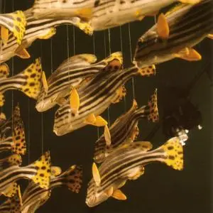 City Center - City Center