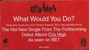 12inch Vinyl Single - City High - What Would You Do?