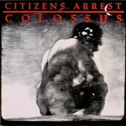 Double LP - Citizens Arrest - Colossus:  The Discography - + Poster & fanzine