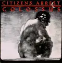 Double LP - Citizens Arrest - Colossus:  The Discography - + Poster & fanzine