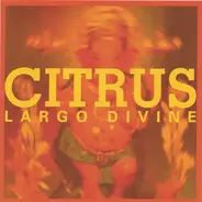 Citrus - Largo Divine