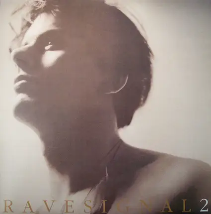CJ Bolland - Ravesignal Vol II