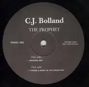 12inch Vinyl Single - CJ Bolland - The Prophet
