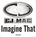 12inch Vinyl Single - CJ Mac - Imagine That