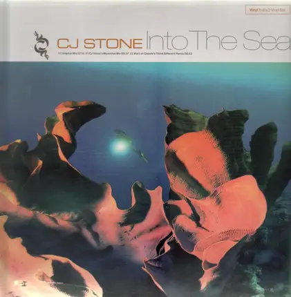 CJ Stone - Into The Sea (Vinyl 1)