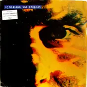 C.J. Bolland - The Prophet
