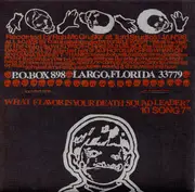 7inch Vinyl Single - Combatwoundedveteran - What Flavor Is Your Death Squad Leader? - + poster, textured foldout cardboard sleeve