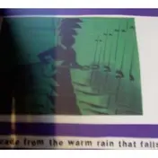 Comet Gain - AN ARCADE FROM THE WARM RAIN THAT..