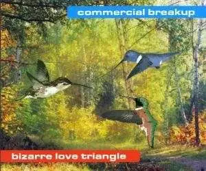 Commercial Breakup - Bizarre Love Triangle