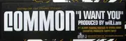 12inch Vinyl Single - Common - I Want You