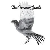 Common Linnets - COMMON LINNETS